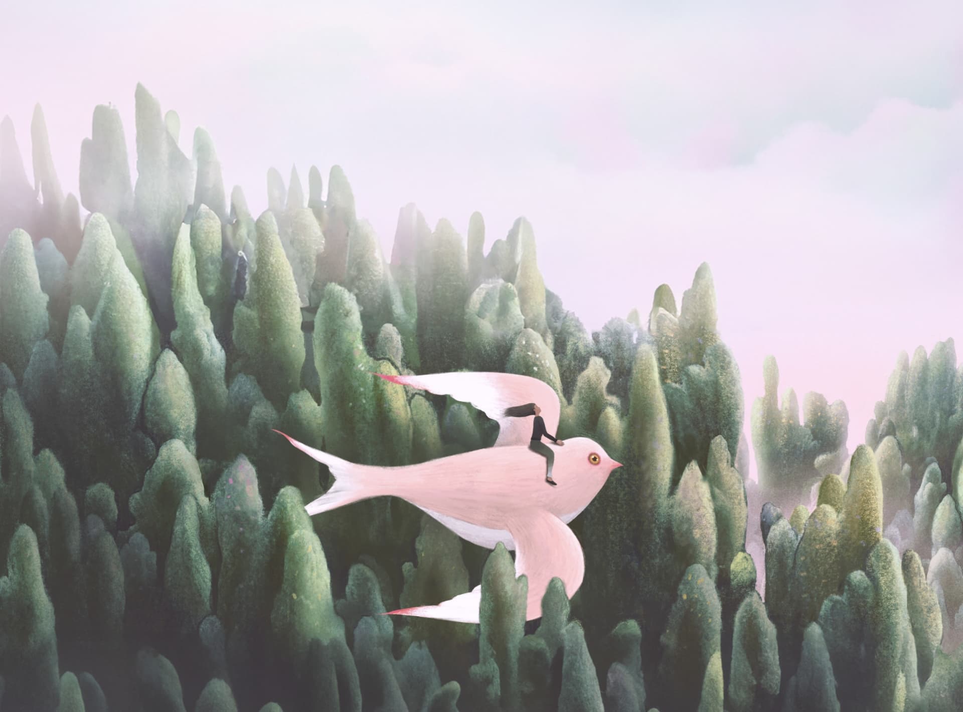 Service user experience